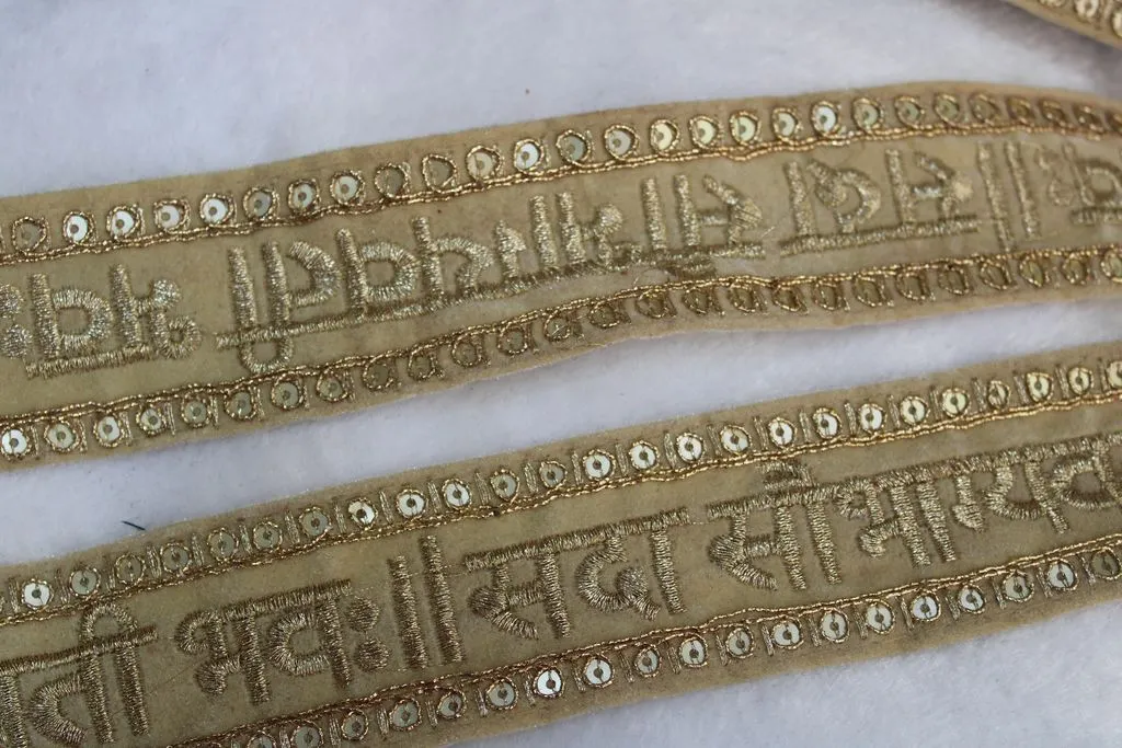 Beige Golden Traditional Zari and Sequins Work Embroidered Border