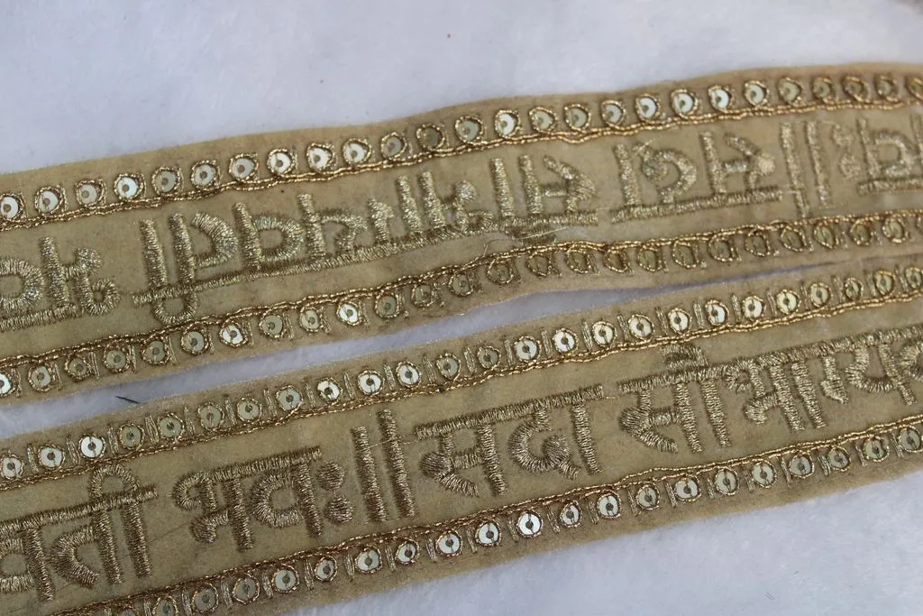 Beige Golden Traditional Zari and Sequins Work Embroidered Border