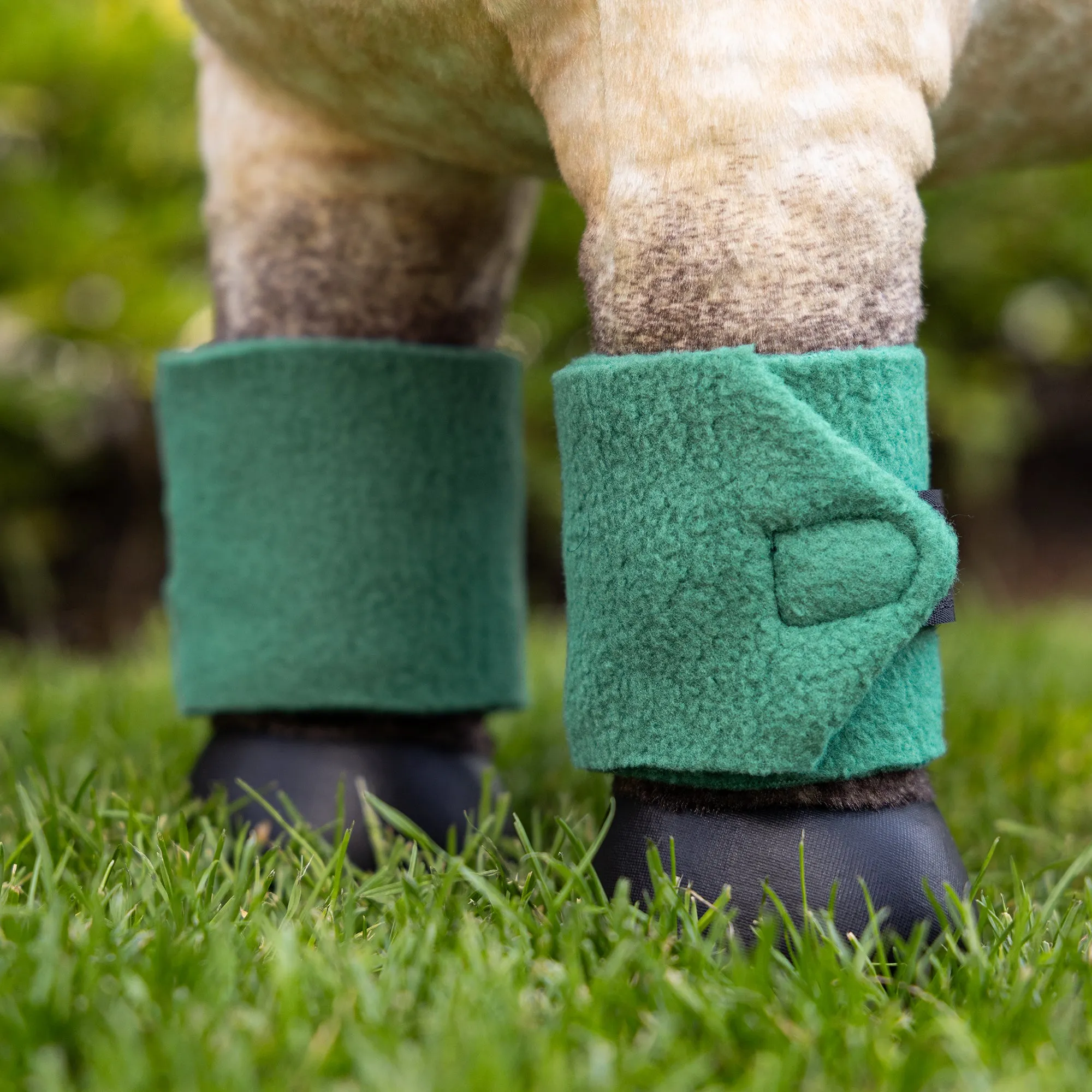 Lemieux Toy Pony Bandages - Evergreen