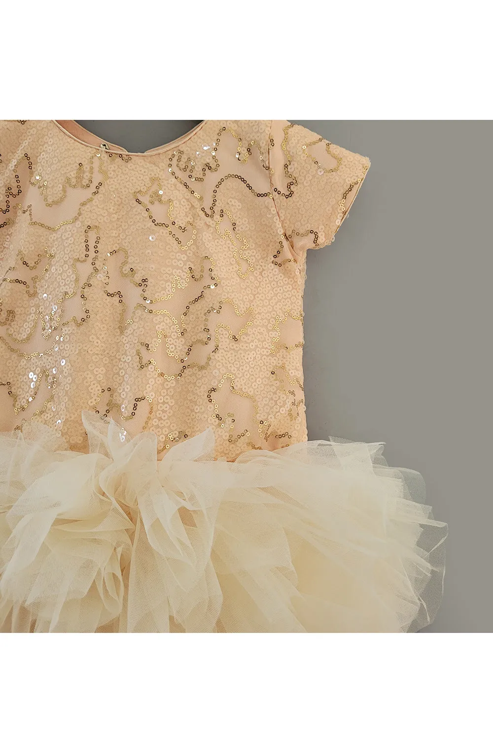 Peach Grey Sequins Embroidered Frill Dress