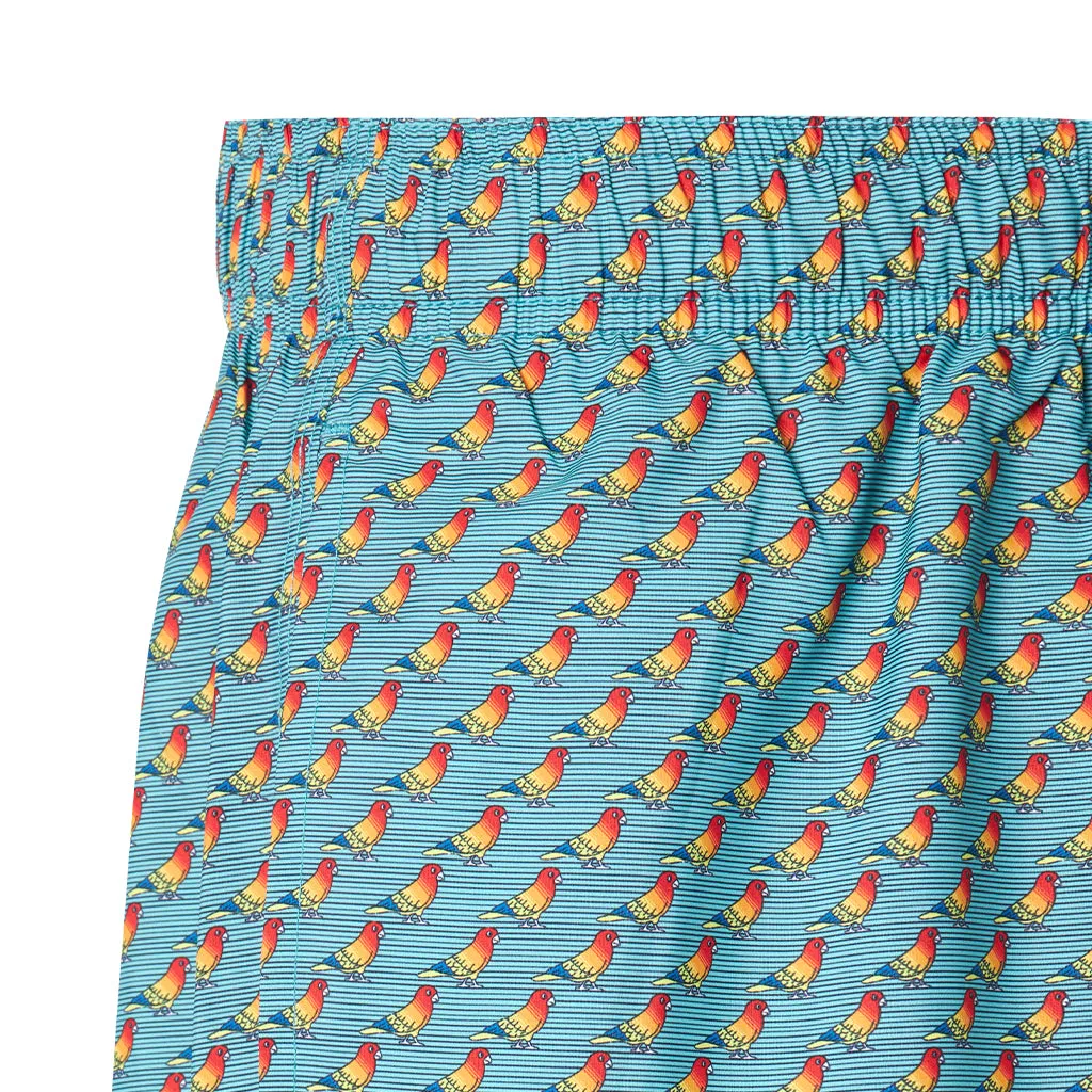TROPICAL NB