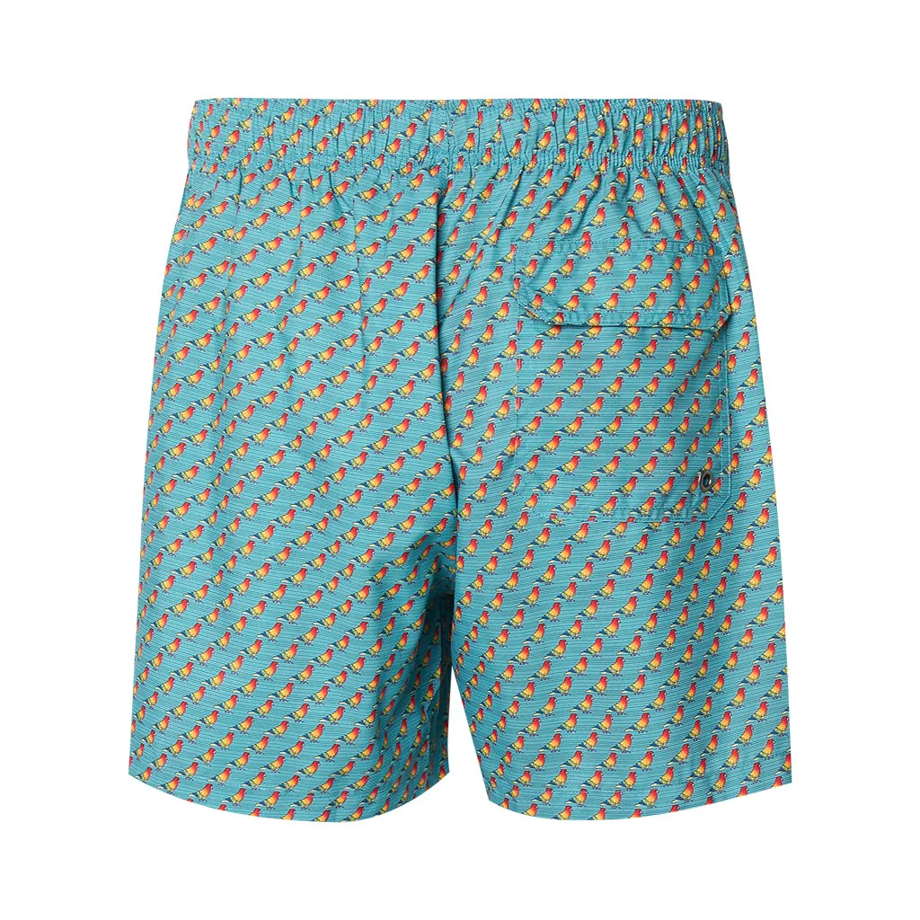 TROPICAL NB